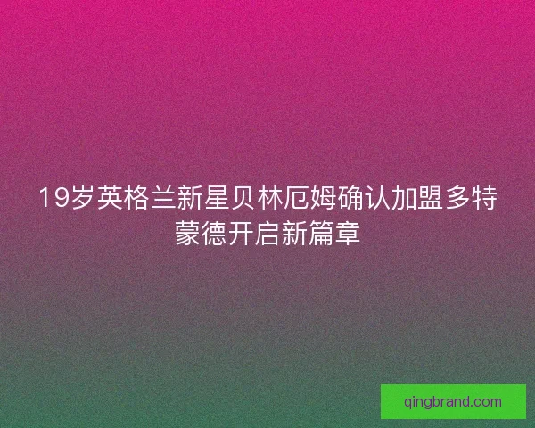 19岁英格兰新星贝林厄姆确认加盟多特蒙德开启新篇章