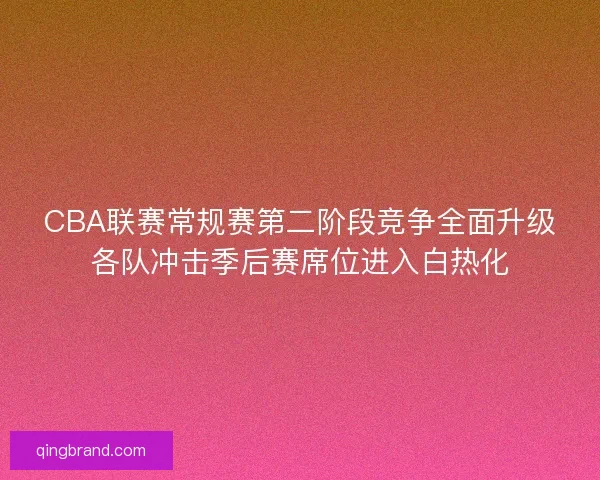 CBA联赛常规赛第二阶段竞争全面升级各队冲击季后赛席位进入白热化